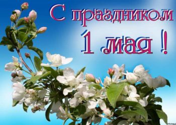 С праздником Весны и Труда, дорогие коллеги!